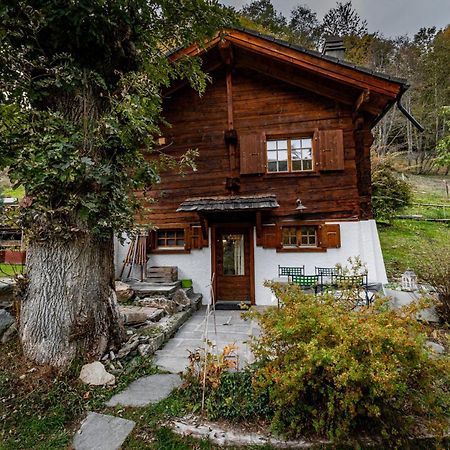 Chalet Les Rindes Nendaz Exteriör bild