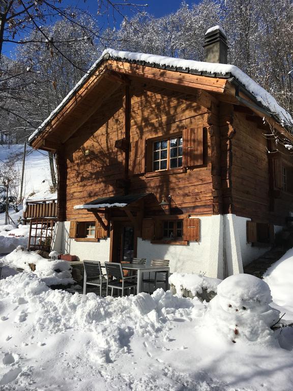 Chalet Les Rindes Nendaz Exteriör bild